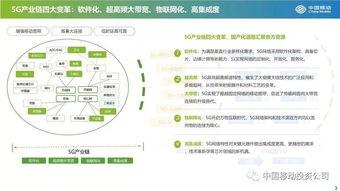 国产21页,揭秘我国科技发展的新篇章